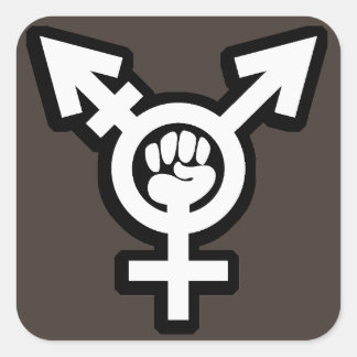 Adesivo Quadrado Conjunto Transgender Sticker
