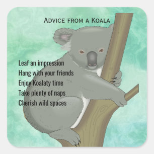 Adesivo Quadrado Conselhos de um Design Koala Sticker