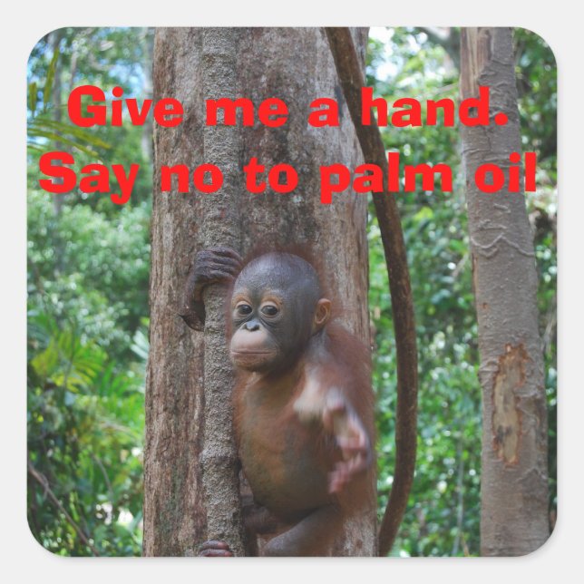 Adesivo Quadrado Conservação Natureza (Frente)