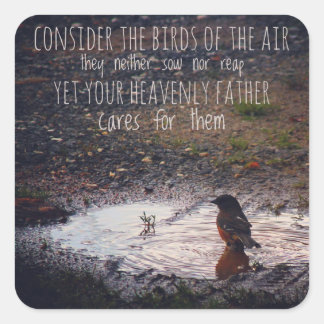 Adesivo Quadrado Considerem as aves dos autocolantes