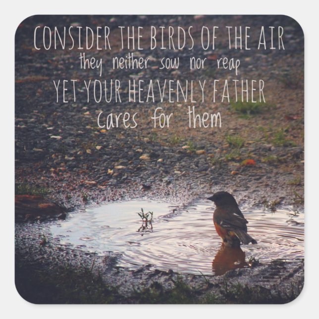 Adesivo Quadrado Considerem as aves dos autocolantes (Frente)