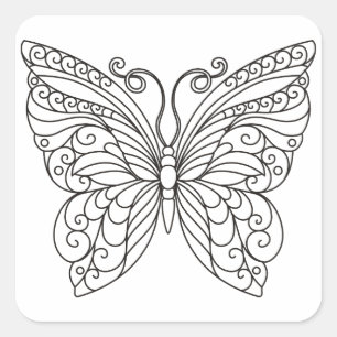 Adesivo Quadrado Contorno da Borboleta