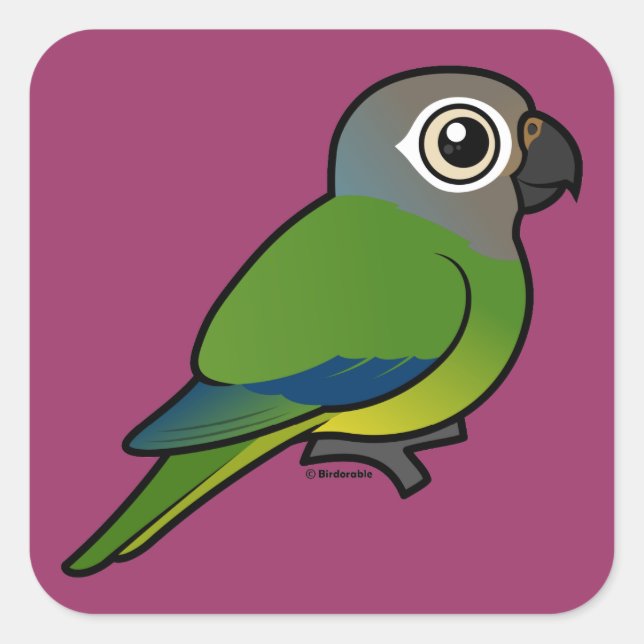 Adesivo Quadrado Conure Birdorable Dusky-Head (Frente)