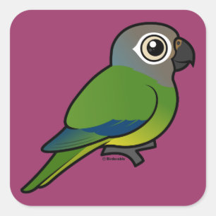 Adesivo Quadrado Conure Birdorable Dusky-Head