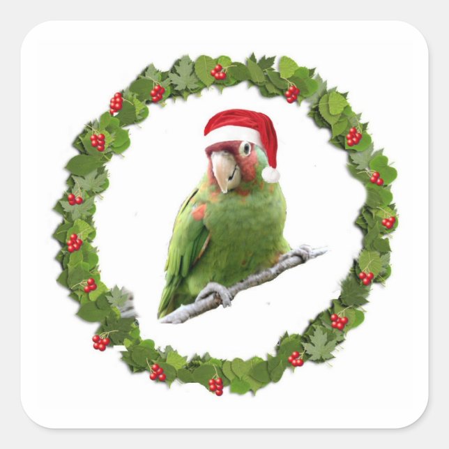 Adesivo Quadrado Conure Christmas Wreath (Frente)