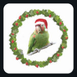 Adesivo Quadrado Conure Christmas Wreath<br><div class="desc">Um periquito mascarado vermelho,  também conhecido como uma cerejeira sentada em uma coroa de Natal vestindo um chapéu de Papai Noel</div>