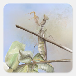 Adesivo Quadrado Cor d'água de Praia de Mantis