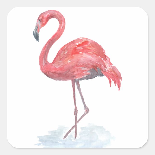 Adesivo Quadrado Cor de água rosa Flamingo. (Frente)