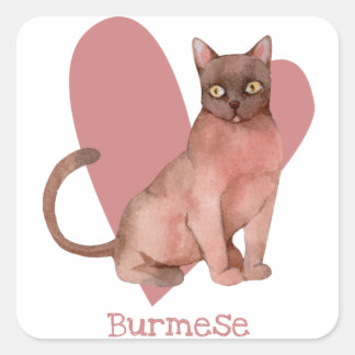 Adesivo Quadrado Coração Rosa-Gatinho de Aquarela de Gata birmanesa