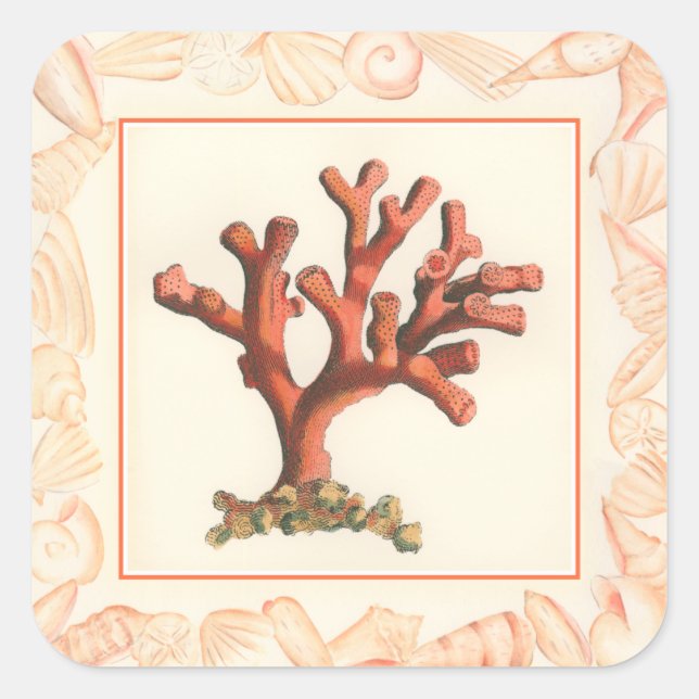 Adesivo Quadrado Coral Vermelho com Borda Conch Shell (Frente)