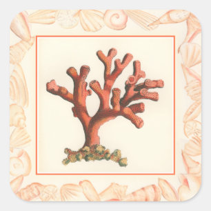 Adesivo Quadrado Coral Vermelho com Borda de Shell Conch