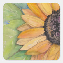 Cores de Água do Sol