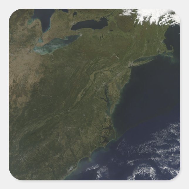 Adesivo Quadrado Cores de queda no nordeste dos Estados Unidos (Frente)