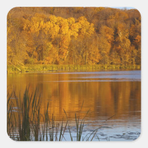 Adesivo Quadrado Cores do outono em Maplewood State Park perto