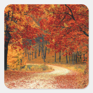 Adesivo Quadrado Cores sazonais do outono