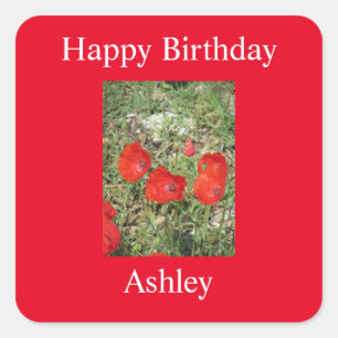 Adesivo Quadrado Corfu Red Poppies Sticker