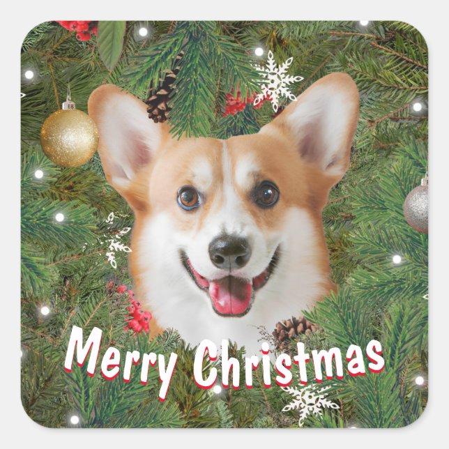 Adesivo Quadrado Corgi Christmas (Frente)