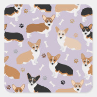 Corgi - Patas e Ossos do Cão
