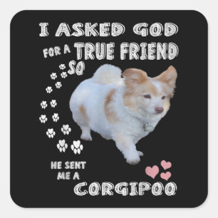 Adesivo Quadrado Corgipoo Lover, Cockerpoo Mãe, Corgi Poodle Pai