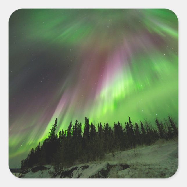 Adesivo Quadrado Corona Aurora (Frente)