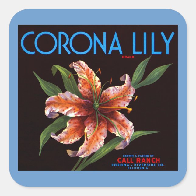 Adesivo Quadrado Corona Lily (Frente)