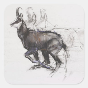 Adesivo Quadrado Correndo Chamois