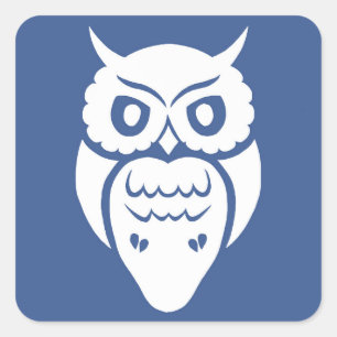 Adesivo Quadrado Coruja branca