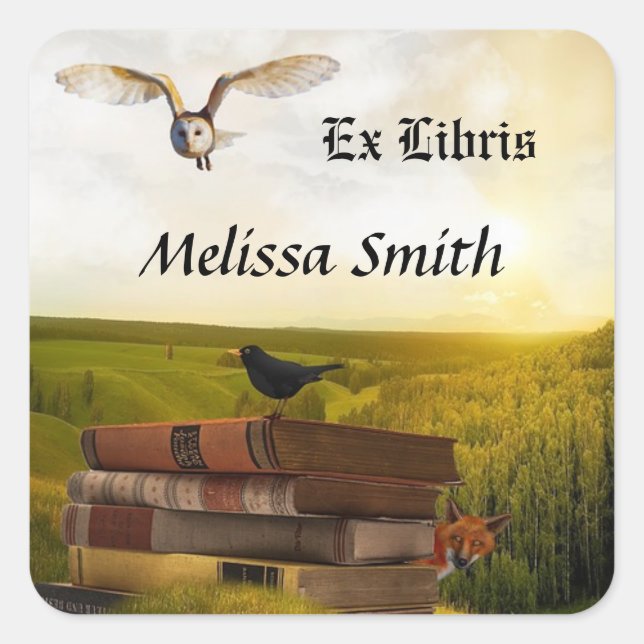 Adesivo Quadrado Coruja E Livros Adicionar Nome Ex Libris (Frente)