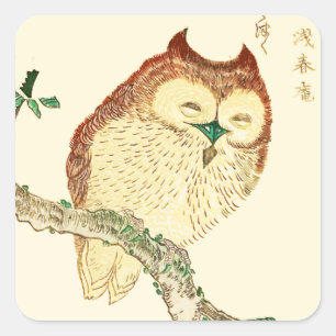Adesivo Quadrado Coruja japonesa pequena