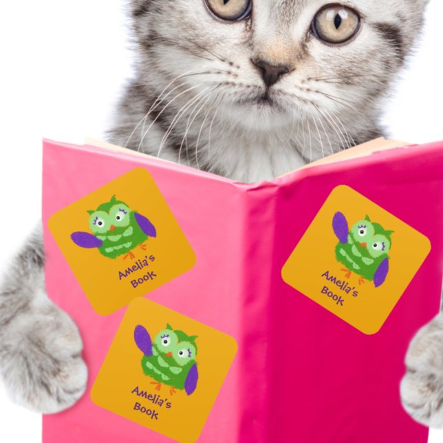 Adesivo Quadrado Coruja Personalizada Este Livro Pertence (Criador carregado)