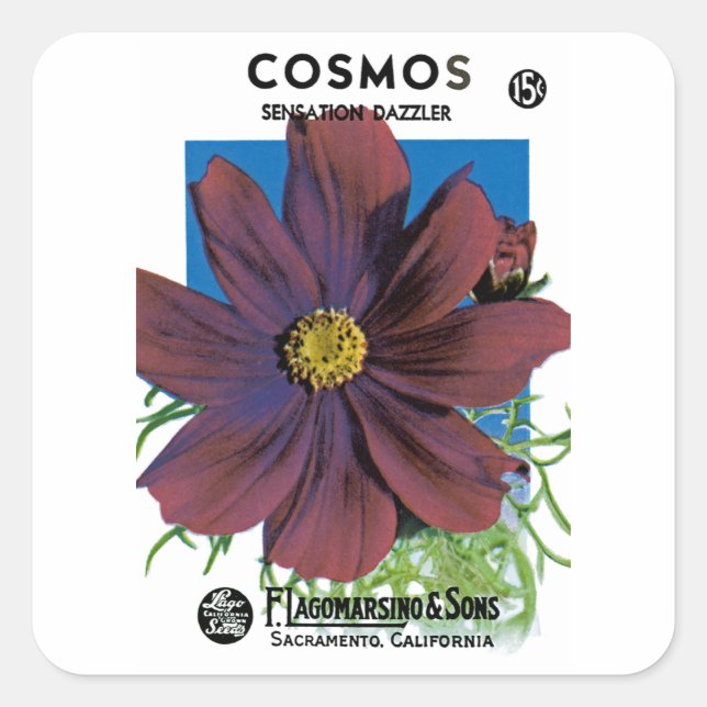 Adesivo Quadrado Cosmos (Frente)