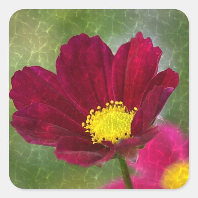 Adesivo Quadrado Cosmos Shimmering (Frente)