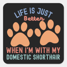 Cotações Curtas Nacionais2