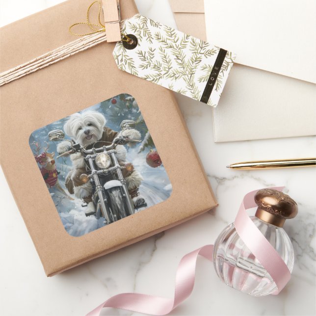 Adesivo Quadrado Coton De Tulear Cachorro Dirigindo Motocicleta Nat (Presentear)