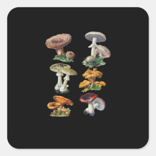 Adesivo Quadrado Cottagecore Cogumelos Goblincore Estética Cogumelo