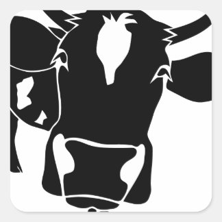 Adesivo Quadrado cow kuh cattle fleckvieh munges cowboy farmer