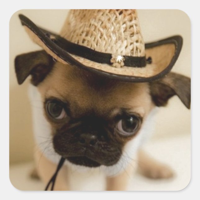 Adesivo Quadrado Cowboy Pug Puppy (Frente)