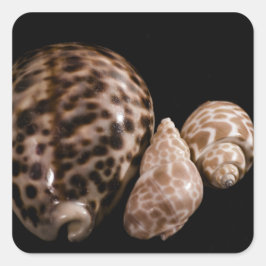 Adesivo Quadrado Cowrie Cones Sticker