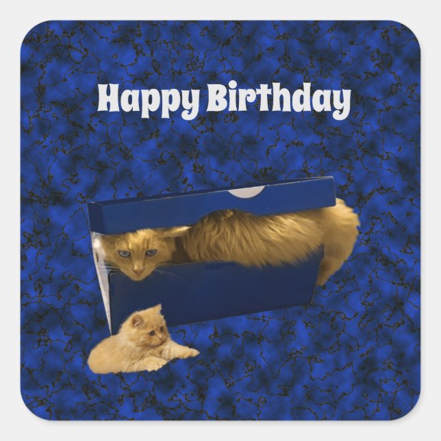 Adesivo Quadrado "Cozy Hideaway: O Gengibre na caixa do Calçado" (Frente)