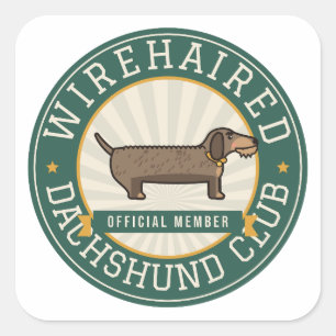 Adesivo Quadrado Crachá Antigo do Clube do Dachshund de Pelo Duro