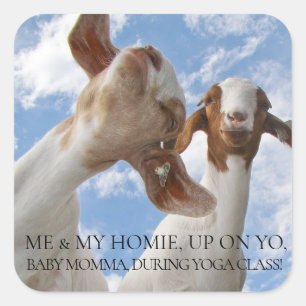 Adesivo Quadrado Crachinhas de Ioga