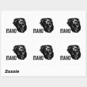 ADESIVO QUADRADO CRÂNIO DE IDAHO