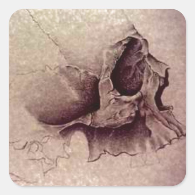 Adesivo Quadrado crânios (Frente)