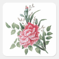 Cravo Rosa bonito