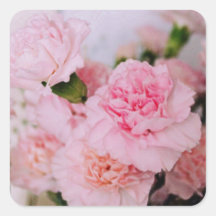 cravos rosa flores estilo vintage fotografia