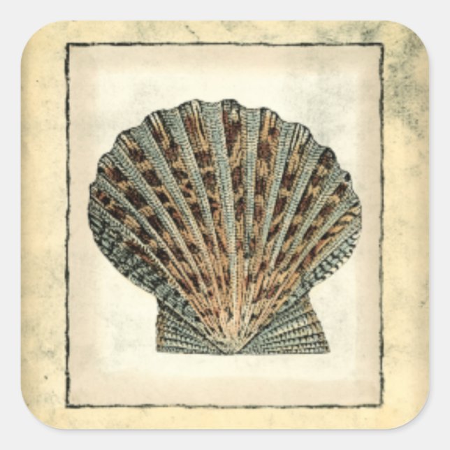 Adesivo Quadrado Criaturas marinhas pela costa (Frente)