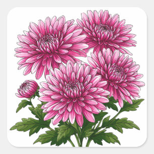 Adesivo Quadrado Crisântemos Rosa Vibrante em Flor