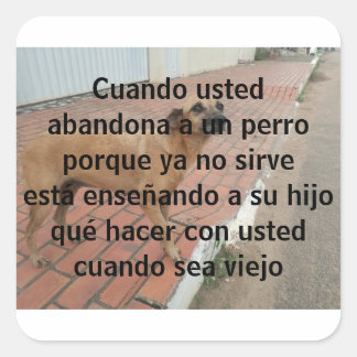 Adesivo Quadrado cuando insistiu em abandonar un perro
