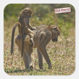 Adesivo Quadrado Cuidados infantis