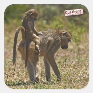 Adesivo Quadrado Cuidados infantis